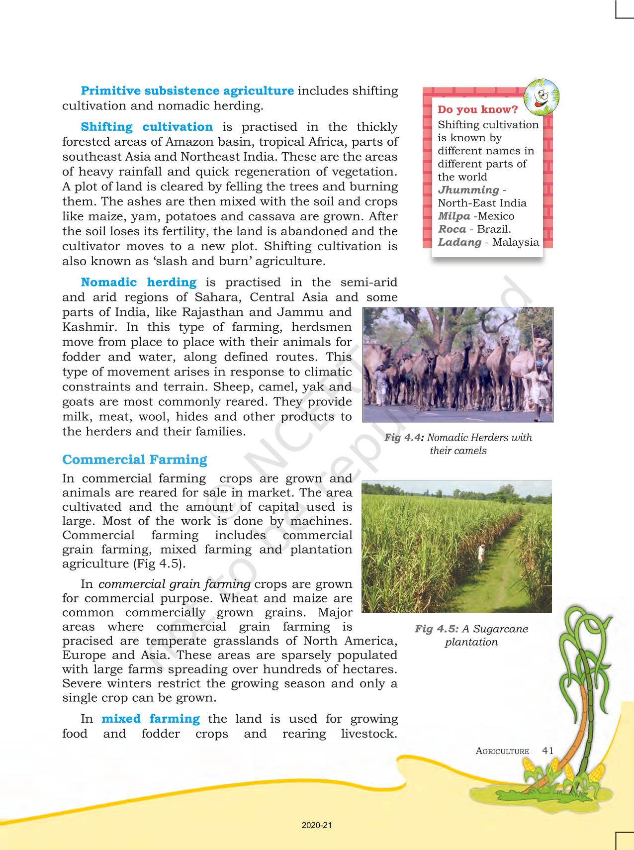 case study on agriculture class 8